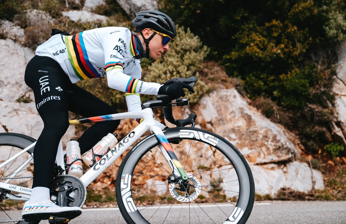 Colnago pyörät